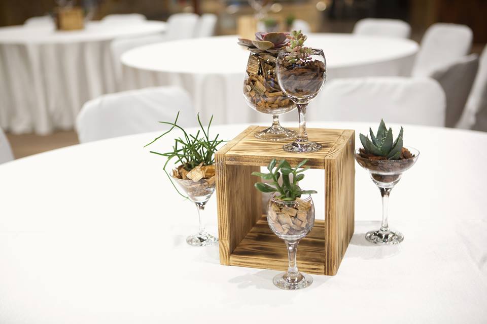 15032266_1337820386288627_6466046360923320161_n