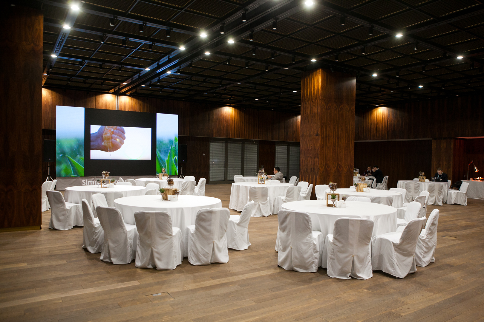 IMG_2978 – копия